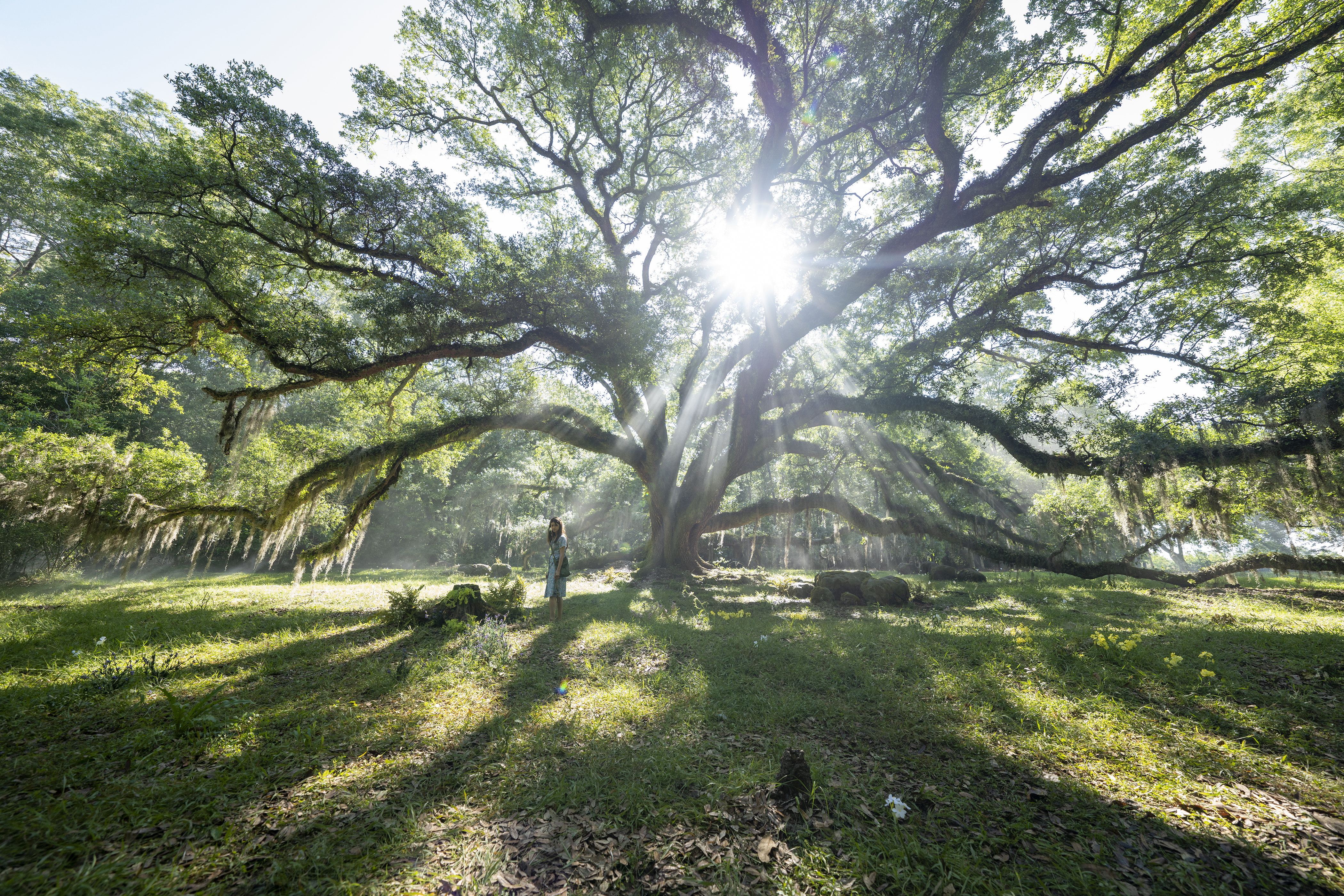 沼泽深处的女孩(2022)的剧照 沼泽深处的女孩(2022)的剧照