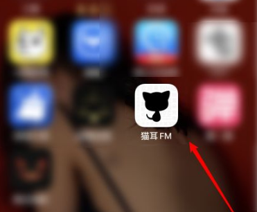 《猫耳fm》怎么设置弹幕