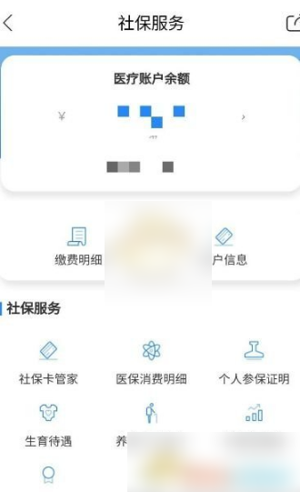 《天府市民云》怎么查询社保明细