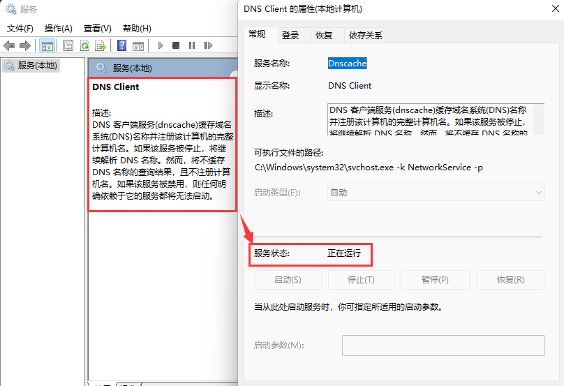 Win11找不到DNS地址怎么解决