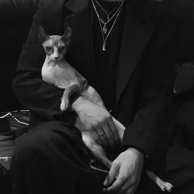 《微信》微信号改成什么比较有意义