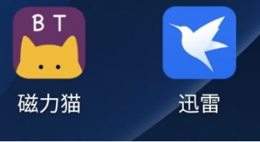 《磁力猫》app怎么使用