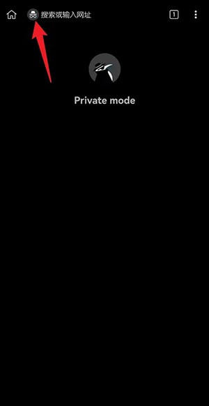 《kiwi浏览器》怎么设置无痕模式