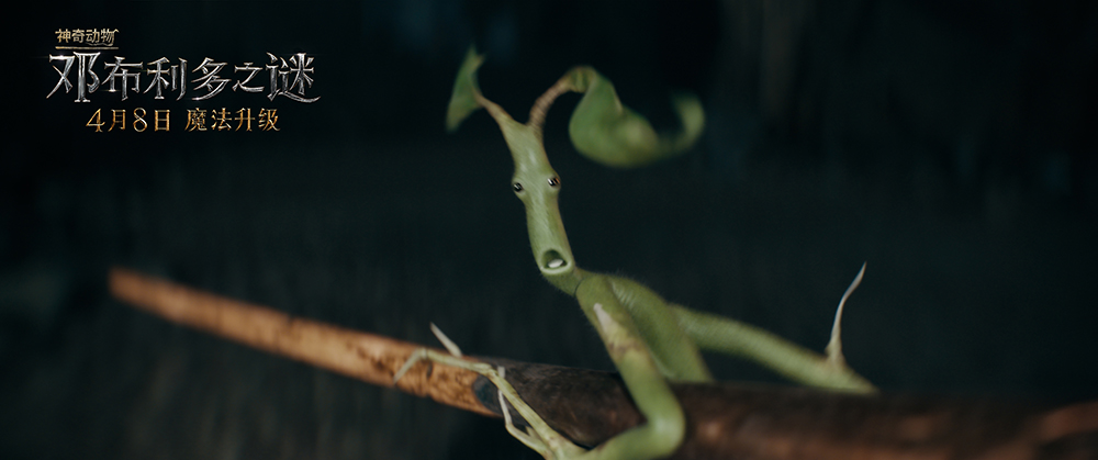 神奇动物:邓布利多之谜(2022)的剧照 神奇动物:邓布利多之谜(2022)的剧照