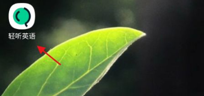 《轻听英语》怎么设置发音类型