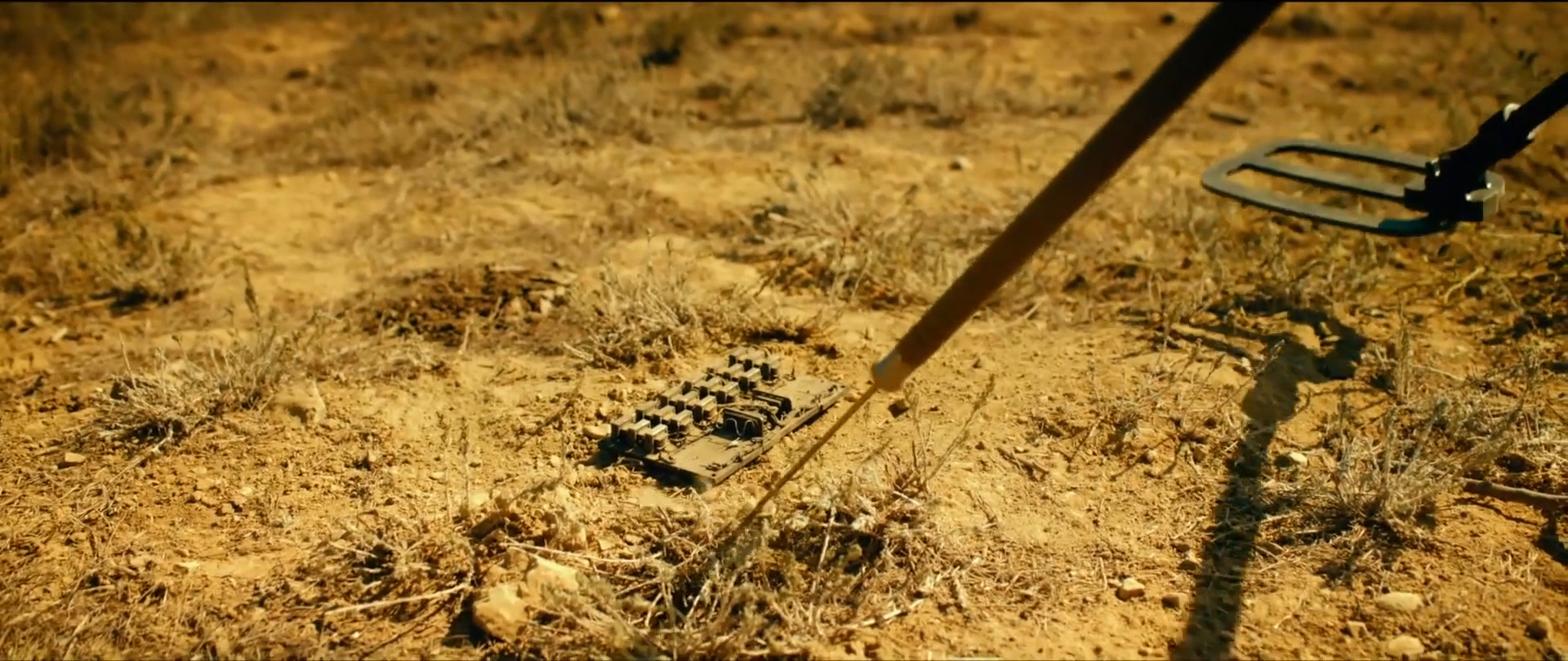 沙漠往事(2022)的剧照 沙漠往事(2022)的剧照