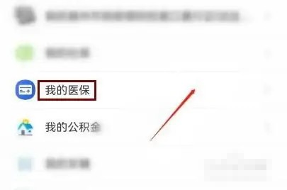 《皖事通》怎么查医保卡消费记录