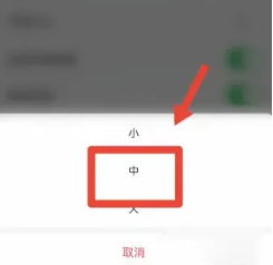 《雷速体育》字体大小怎么改