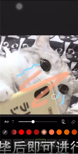 《醒图》怎么画画