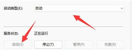 Win11电脑音频没有声音怎么办