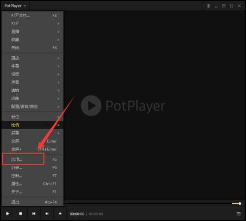 《PotPlayer》怎么打开类似文件