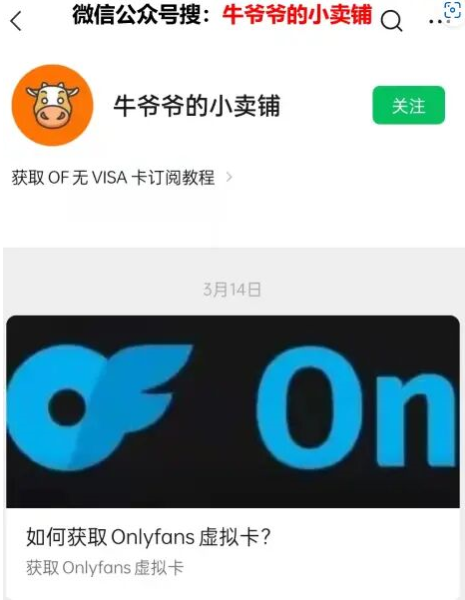 《Onlyfans》不绑卡怎么订阅使用