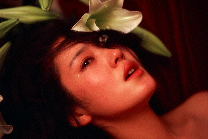 樋口可南子 樋口可南子