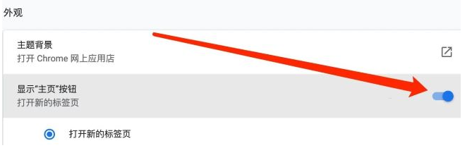 《谷歌浏览器》如何自定义主页网址