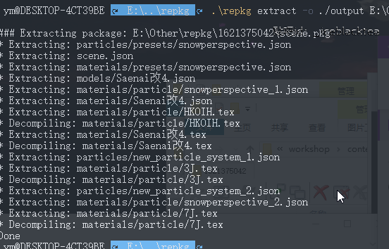 《Wallpaper Engine》怎么提取pkg包