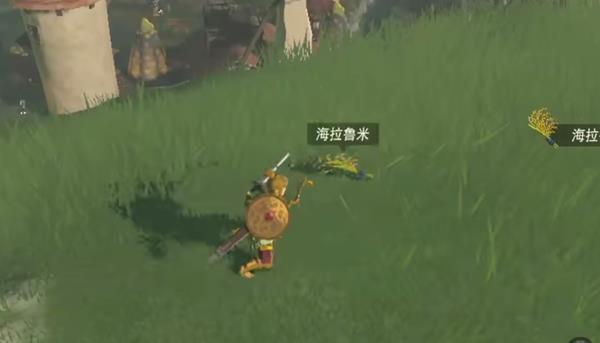 《塞尔达传说：王国之泪》海拉鲁米速刷地点攻略