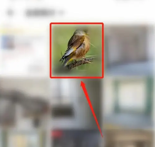 《心遇》怎么换头像