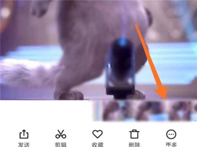 《小红书》怎么设置动态壁纸