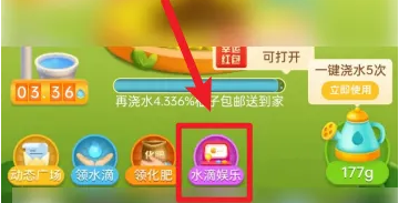 《拼多多》怎么领养看门狗