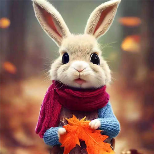 2023《微信》兔年头像最新款