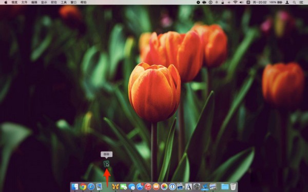 Mac的Dock栏使用教程