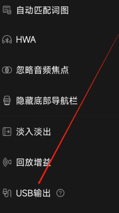 《飞傲音乐》怎么启用USB输出