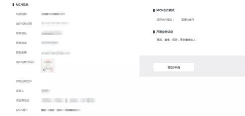 《爱奇艺》怎么入驻MCN机构