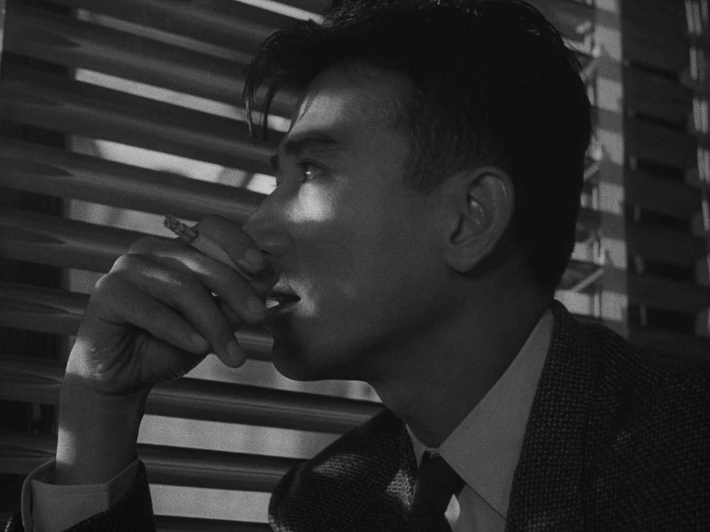 佐田启二 佐田启二