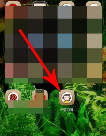 《小猿口算》怎么加入班级