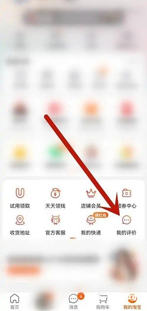 《淘宝》我的评价在哪里