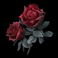 《艾尔登法环》血蔷薇获取方法介绍