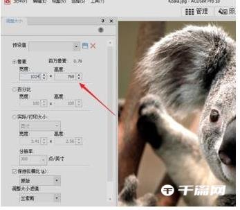 《ACDSee》怎么修改照片分辨率