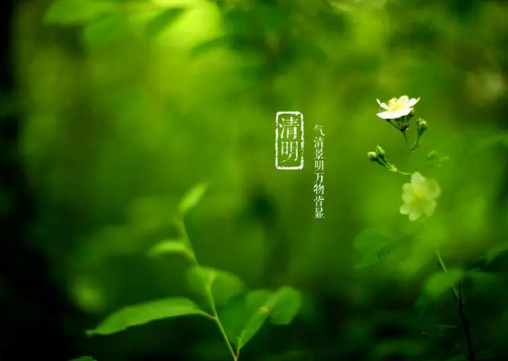 2023清明节放假调休几天3