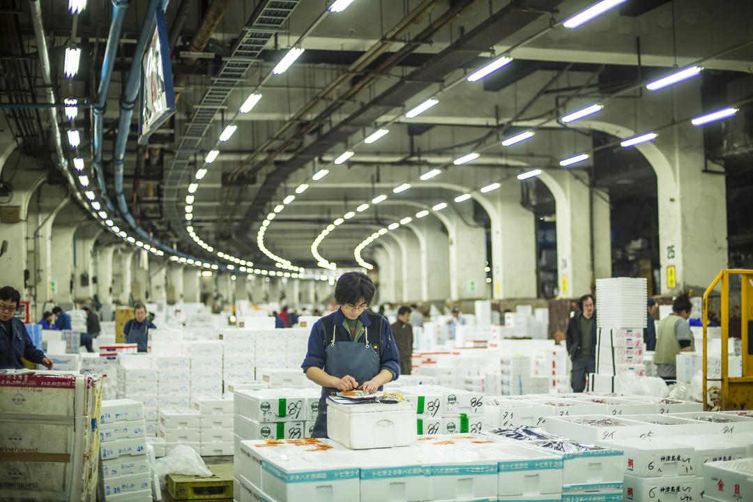 筑地仙境(2016)的剧照 筑地仙境(2016)的剧照