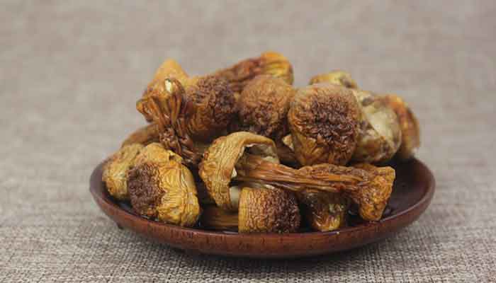 松茸2.jpg 松茸2.jpg