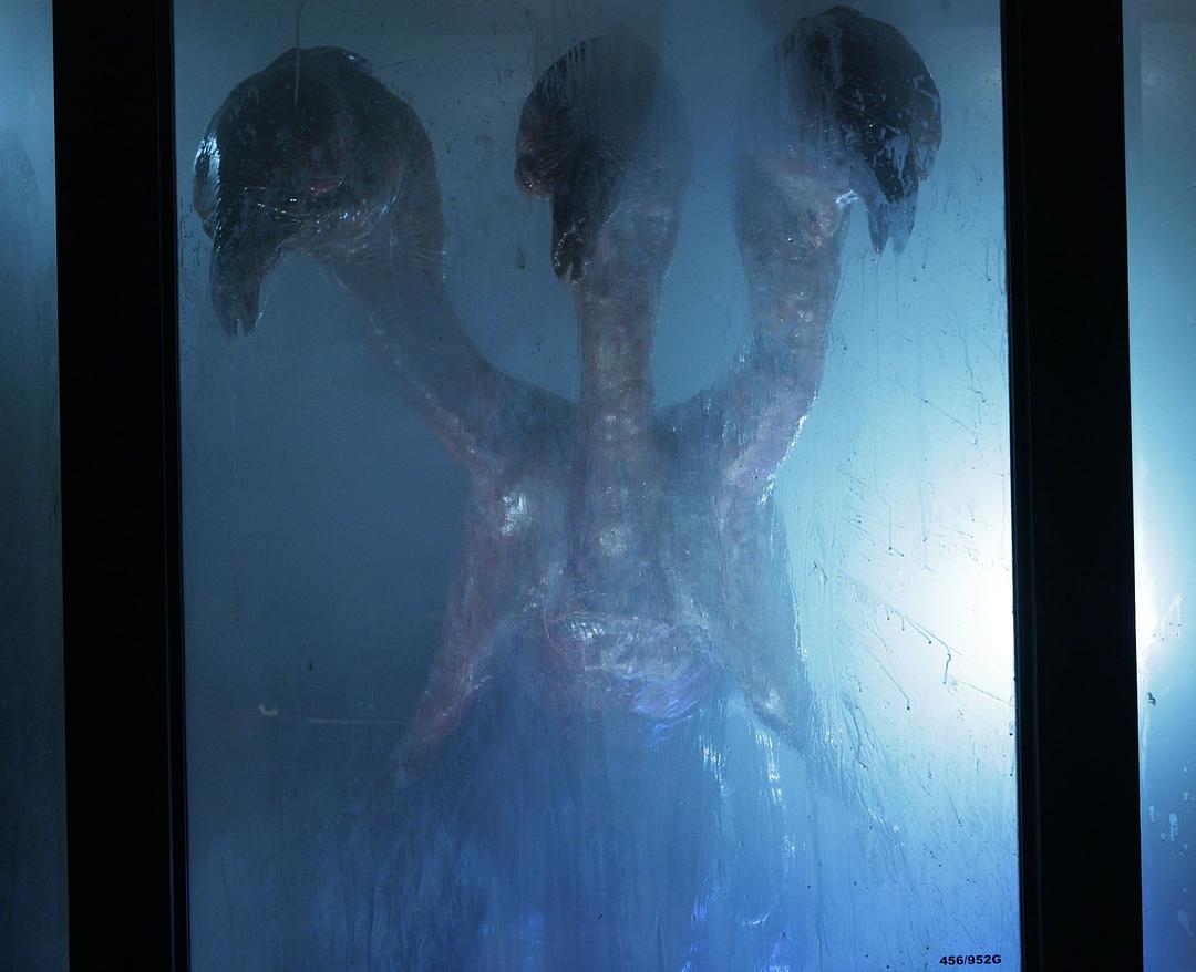 火炬木小组(2009)的剧照 火炬木小组(2009)的剧照