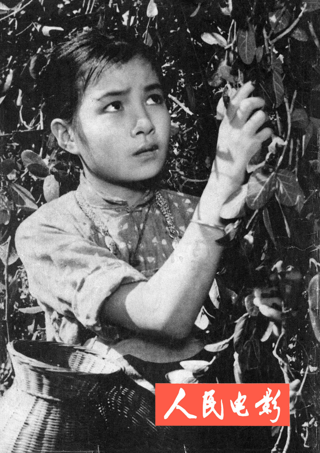 红孩子
(1958)的剧照 红孩子
(1958)的剧照