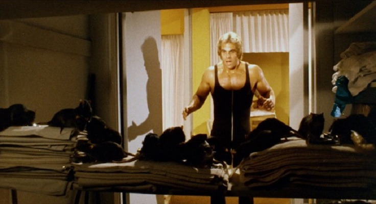 鼠王(1972)的剧照 鼠王(1972)的剧照