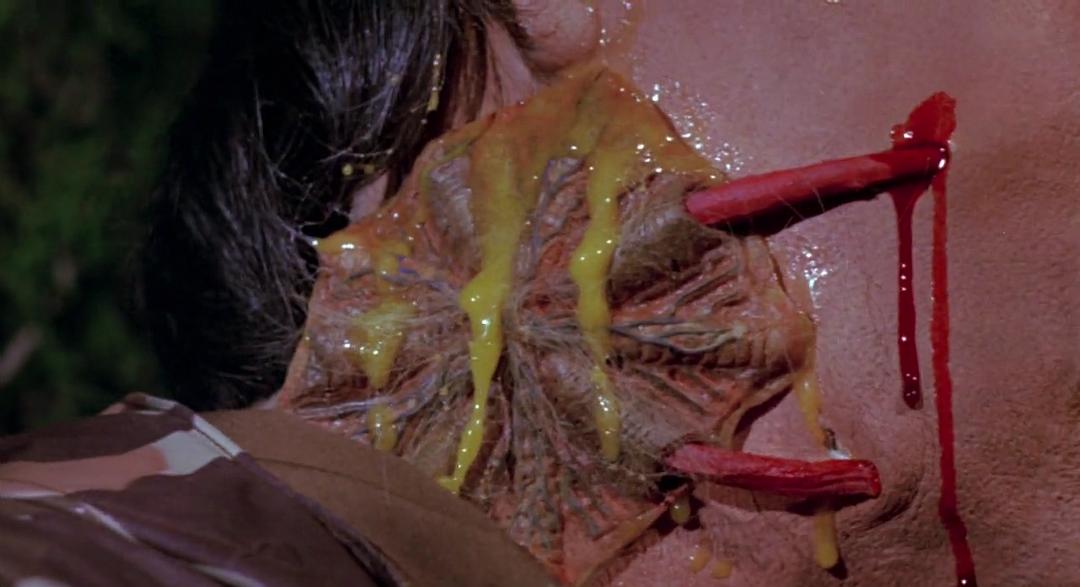 不予警告(1980)的剧照 不予警告(1980)的剧照