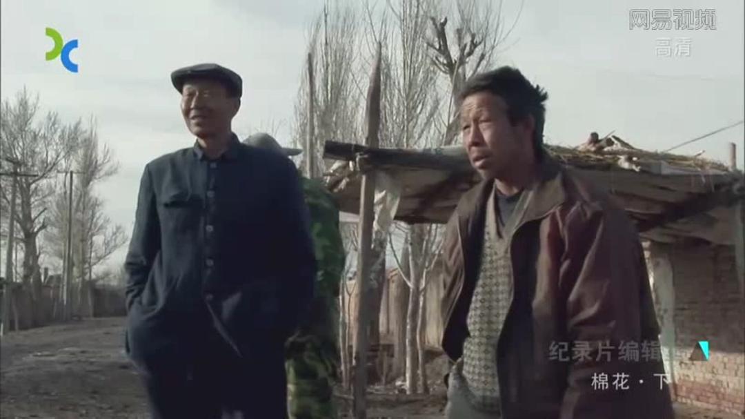 棉花
(2014)的剧照 棉花
(2014)的剧照