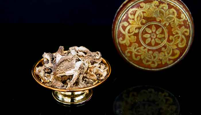 松茸27.jpg 松茸27.jpg