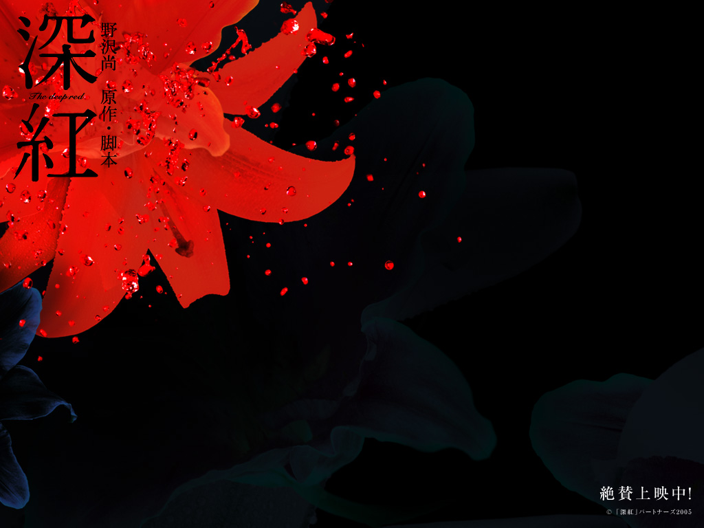 深红(2005)的剧照 深红(2005)的剧照