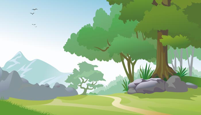 树木3.jpg 树木3.jpg