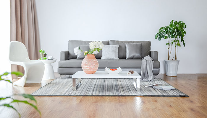 幸福树怎么养 幸福树怎么种怎么养