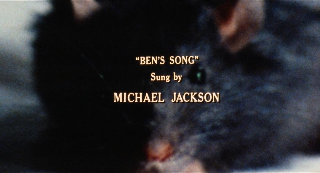 鼠王(1972)的剧照 鼠王(1972)的剧照