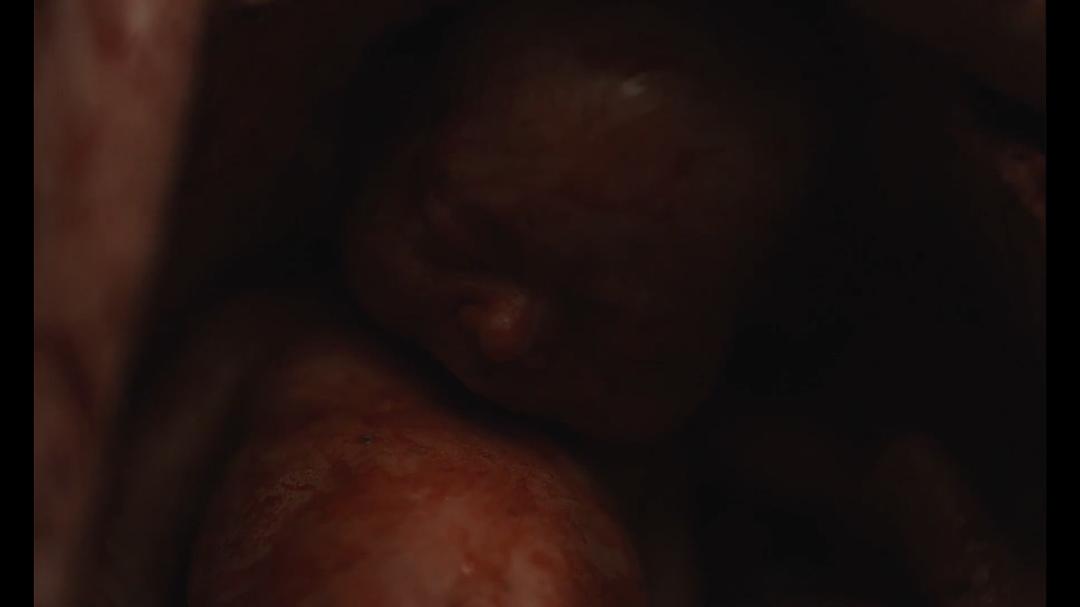 复生(2022)的剧照 复生(2022)的剧照