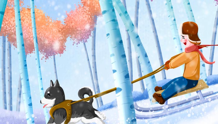 雪橇犬和哈士奇的区别