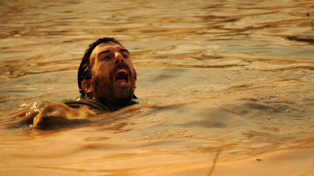 鲨卷风5:全球鲨暴(2017)的剧照 鲨卷风5:全球鲨暴(2017)的剧照