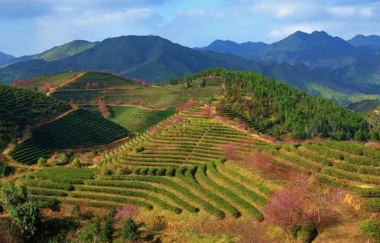 ​2023广东的春节是什么时候开始的3