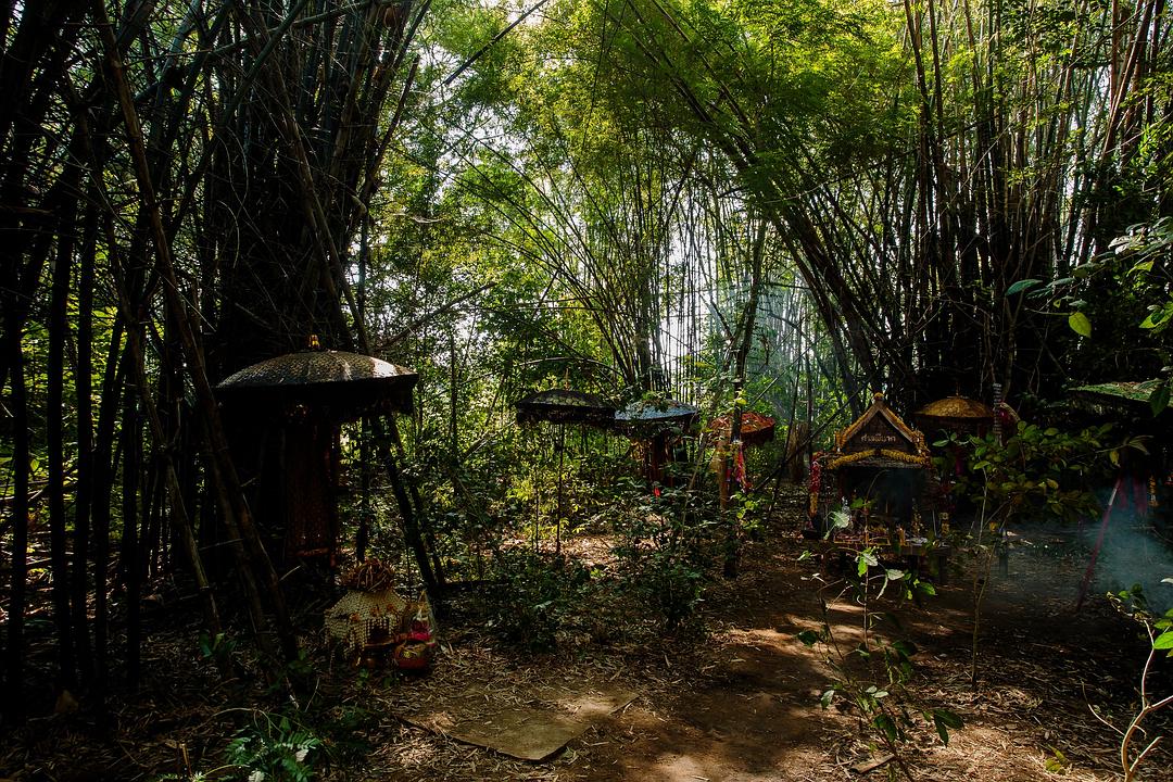 鬼寺凶灵(2019)的剧照 鬼寺凶灵(2019)的剧照